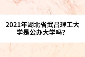 2021年湖北省武昌理工大学是公办大学吗？